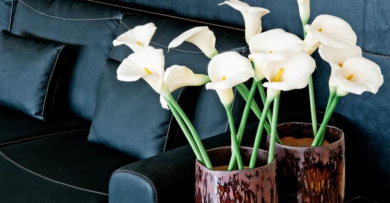 Arranjos com flores trazem elegância à decoração da sala. Inspire-se!