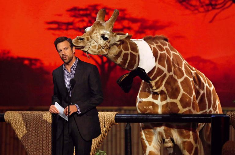 Jason Sudeikis recebe carinho de girafa