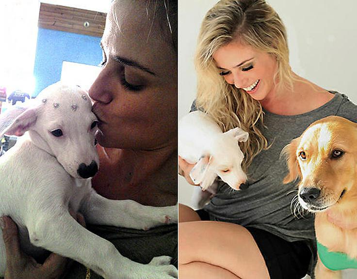 Nathália Rodrigues vira madrinha de campanha de adoção de animais