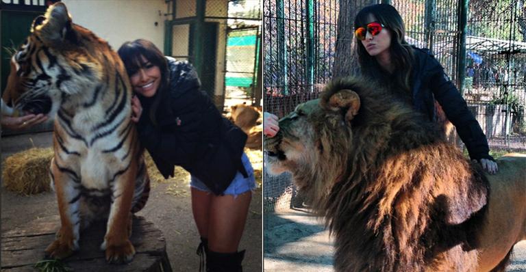 Sabrina Sato abraça tigre em zoológico na Argentina