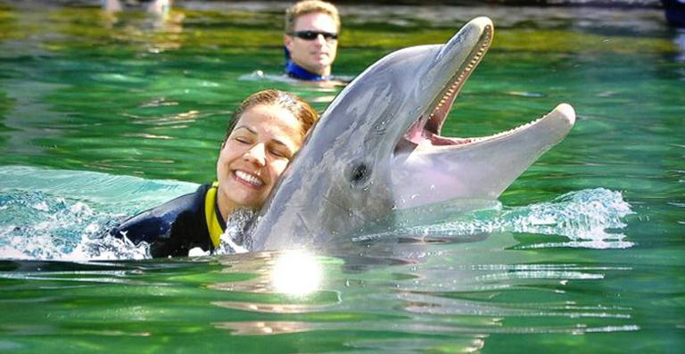 Nívea Stelmann nada com golfinhos na Disney
