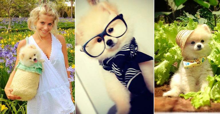 Joy, o cachorro de Karina Bacchi, é fashion! Saiba como fazer do seu pet um modelo