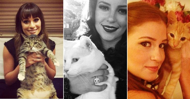 Veja os gatos de famosos como Paolla Oliveira e Marina Ruy Barbosa