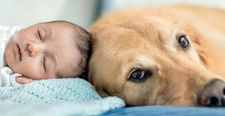 Casa com bebês pode ter animais. Saiba como escolher o pet ideal para o seu filho