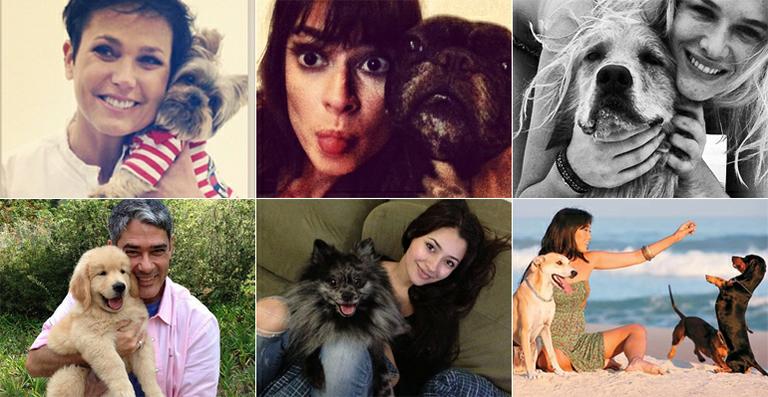 Famosos e seus pets: fotos das celebridades com seus bichinhos de estimação