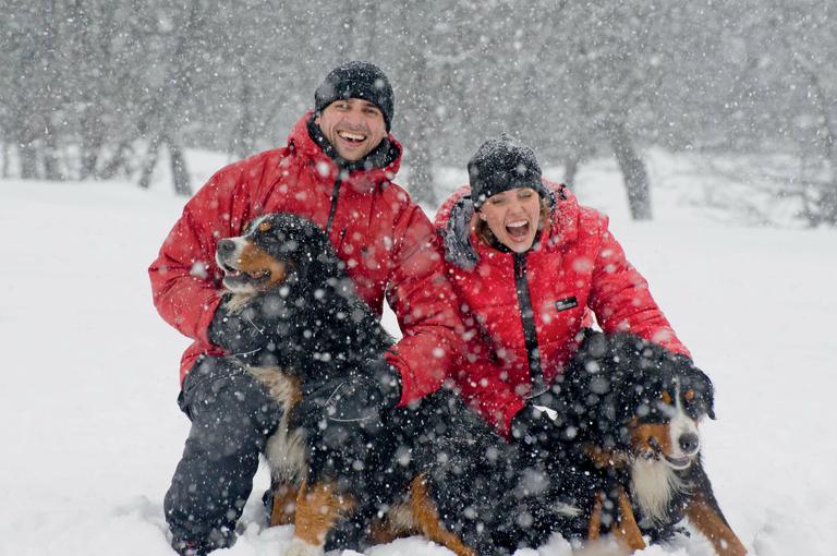 Danilo Sacramento e Alice Wegmann: fãs de pets