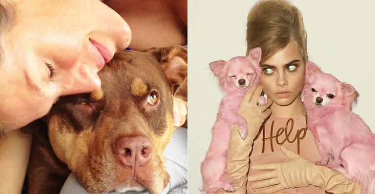 Modelos famosas exibem seus cachorros fofos no Instagram. Veja