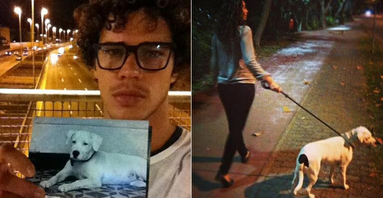 Débora Nascimento e José Loreto agradecem fãs na busca por cadela desaparecida
