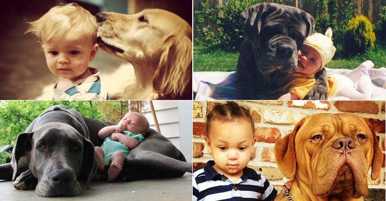 Álbum mostra fotos fofas da amizade entre cachorros e crianças. Confira!