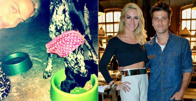 Bruno Gagliasso adota nova cadela e mostra foto no Instagram
