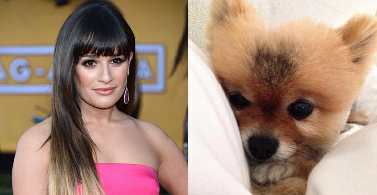 Lea Michele apresenta seu novo animal de estimação: a cadela Pearl