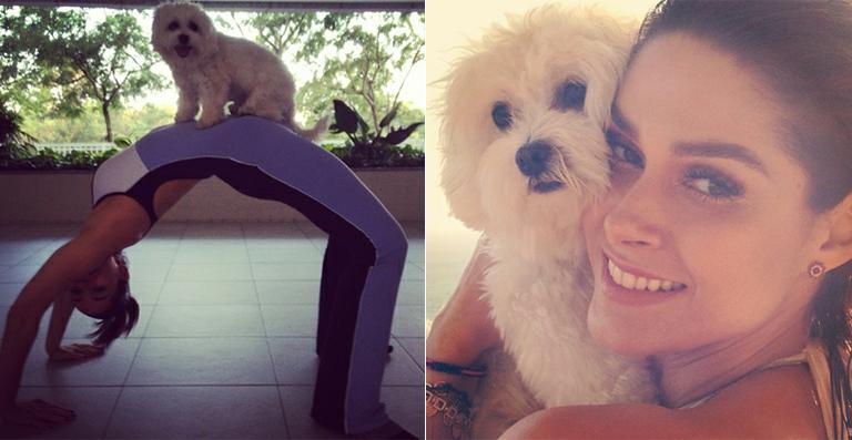 Fernanda Machado malha com a ajuda de sua cachorrinha