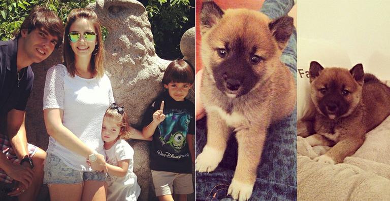 Caroline Celico apresenta o novo cachorrinho da família com Kaká