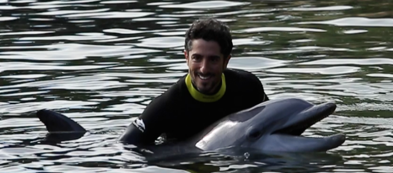 Marcos Mion nada com golfinhos em parque de Orlando, nos EUA