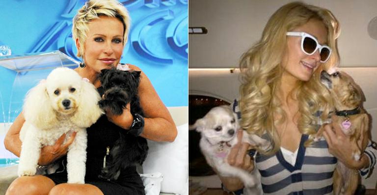 Saiba quais são os nomes dos cachorros dos famosos!