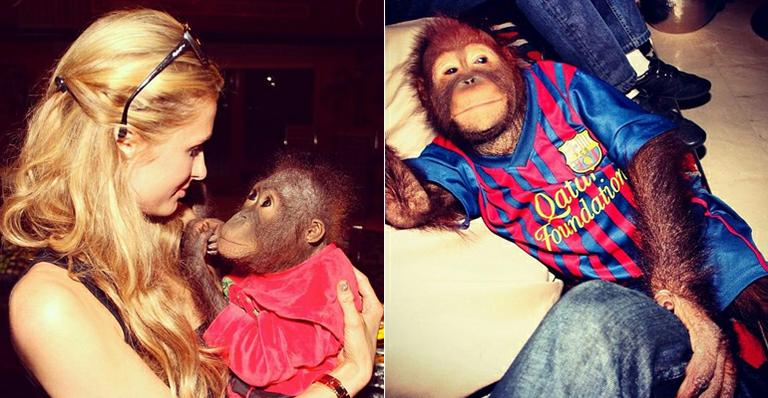 Paris Hilton se diverte ao lado de animais exóticos em Dubai