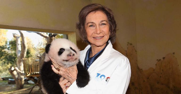 Rainha Sofía visita zoológico de Madri e brinca com filhote de panda