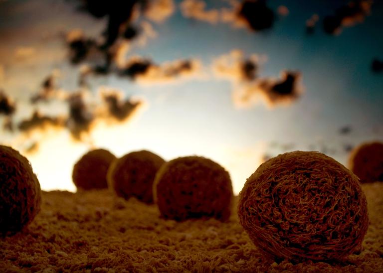 Equinócio – Tempo de equilíbrio e regozijo