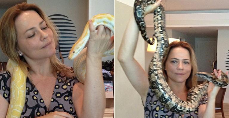 Vilã da novela ‘Em Família’, Vivianne Pasmanter posa com cobras