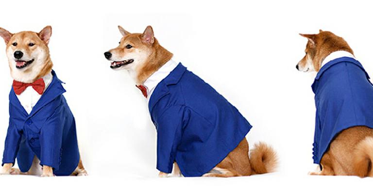 Tumblr Menswear Dog inspira criação de linha de moda masculina para cachorros
