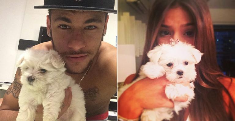 Será? Neymar aparece com cachorro branco e fãs dizem que pode ser de Bruna Marquezine