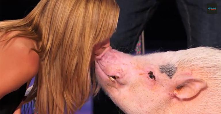 Heidi Klum beija porco na boca durante programa de TV; assista ao vídeo