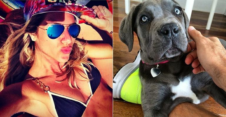 Giovanna Ewbank ganha novo bichinho de estimação