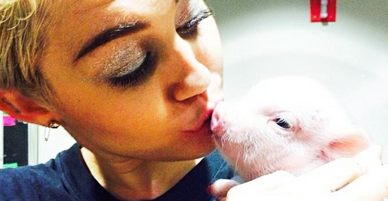 Miley Cyrus dá selinho em porco e viaja com animal no colo