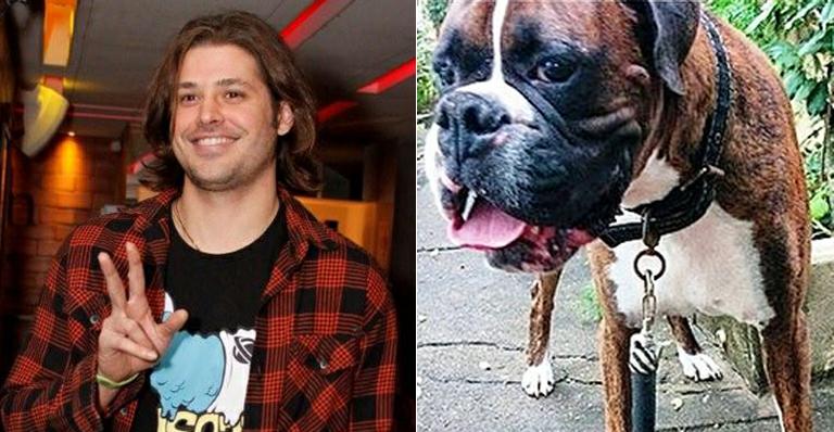 Dado Dolabella faz campanha para encontrar cachorro desaparecido