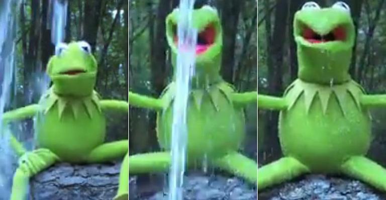 Kermit, dos Muppets encara o banho gelado do bem