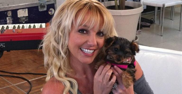 Britney Spears gasta R$ 70 mil com cachorros de estimação