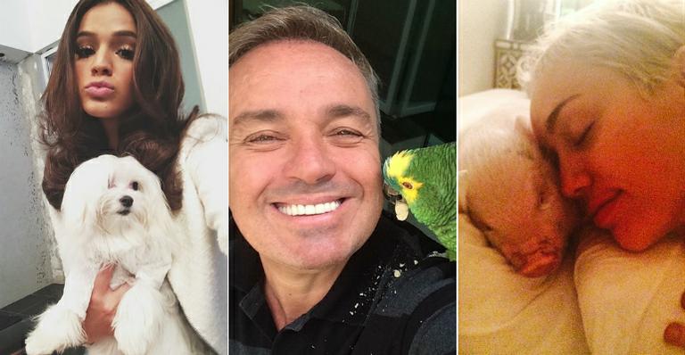 Descubra os bichinhos de estimação dos famosos