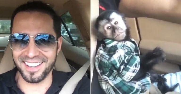 Latino mostra passeio de carro com o macaco Twelves: “Grande companheiro”