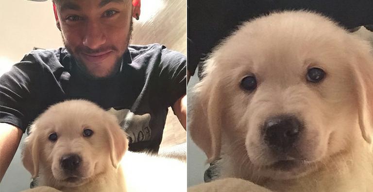 Neymar apresenta o novo cachorrinho da família