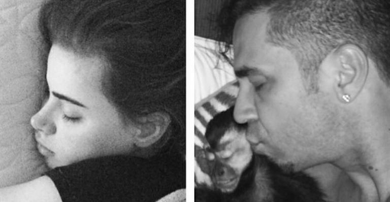 Latino e Rayanne Morais dividem a cama com macaco Twelves