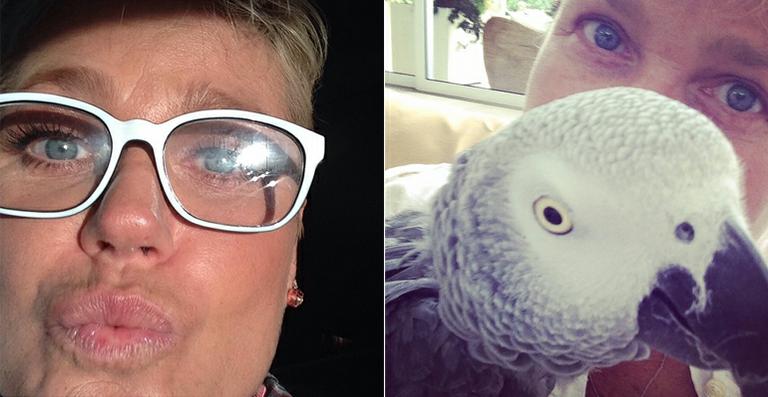 Xuxa faz selfies com seus papagaios