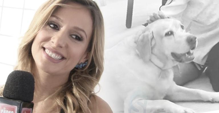 Luisa Mell ensina a conter ciúmes canino na gravidez
