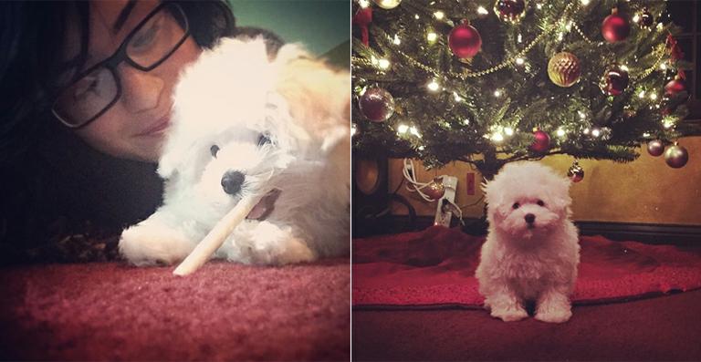 Demi Lovato ganha cachorro de presente de Natal