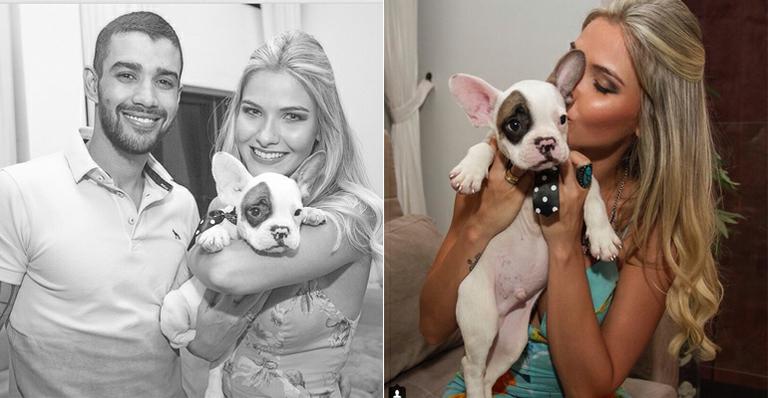 Gusttavo Lima dá cãozinho de presente para a noiva: ‘Família diferente’