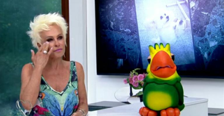 Ana Maria Braga chora ao relembrar morte de Belinha