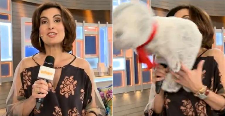 Fátima Bernardes leva “focada” durante participação no ‘Tá no Ar’