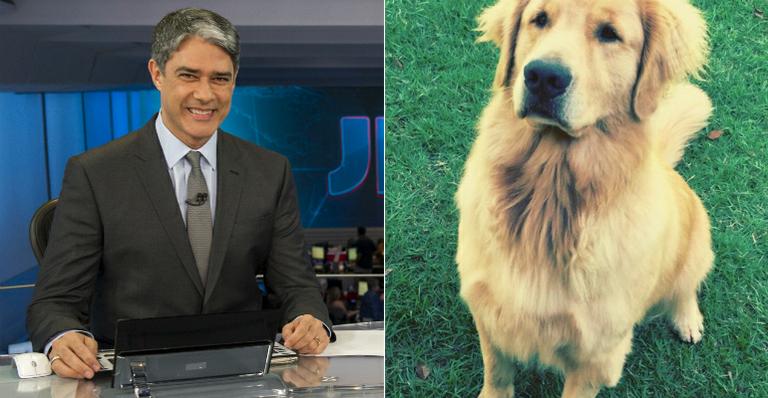 William Bonner brinca com cachorro em jardim de mansão