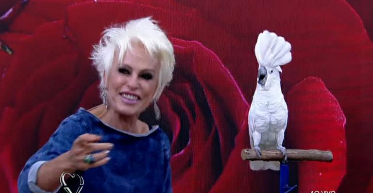 Ana Maria se diverte com cacatua no ‘Mais Você’ e brinca com Louro José: ‘Vou te trocar’