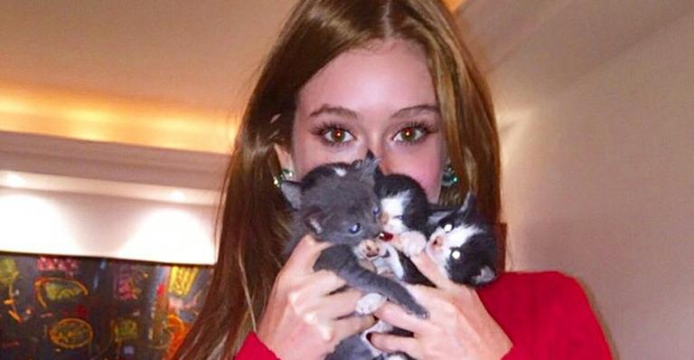 Marina Ruy Barbosa encontra gatinhos na praia e faz campanha por adoção