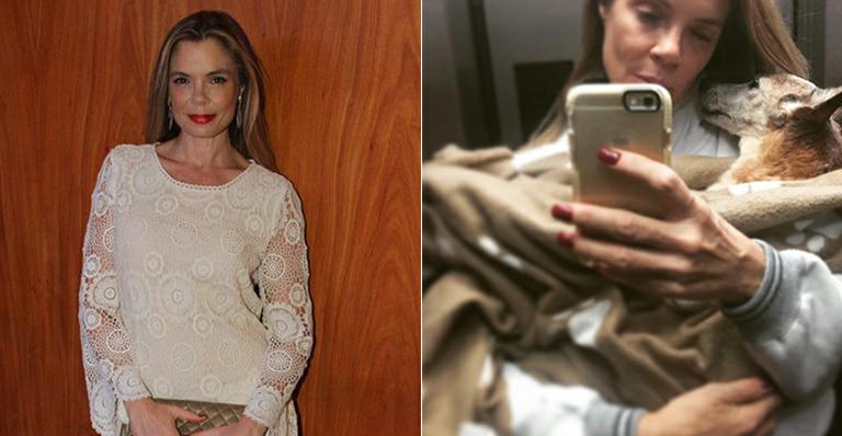 Alexia Dechamps vive drama com piora do estado de saúde de sua cadela, Menina
