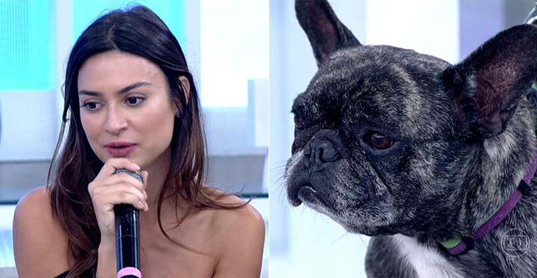Thaila Ayala revela que tem guarda compartilhada de seu pet com Paulo Vilhena