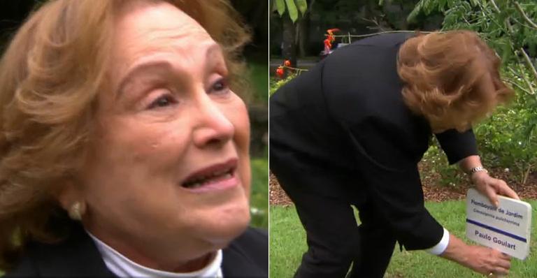 Nicette Bruno se emociona ao conhecer árvore plantada no Projac em homenagem a Paulo Goulart
