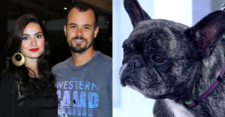 Saiba como compartilhar a guarda do seu animal após a separação