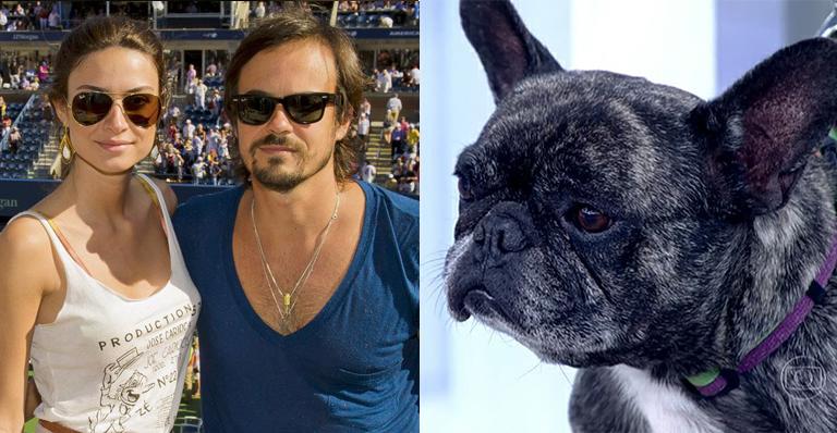 Thaila Ayala fala sobre câncer do seu cachorro que compartilha com Paulo Vilhena