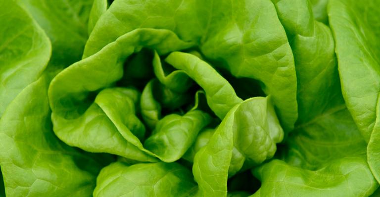 Saiba como continuar comendo salada nos dias mais frios